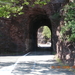 DSCN1845
