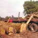 Bomen transport