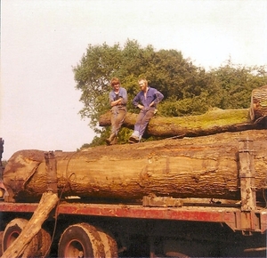 Bomen transport