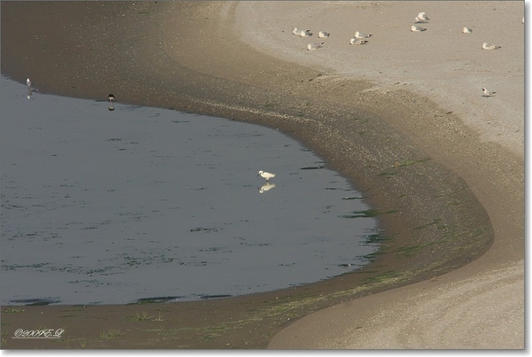 sized_Afbeelding 134