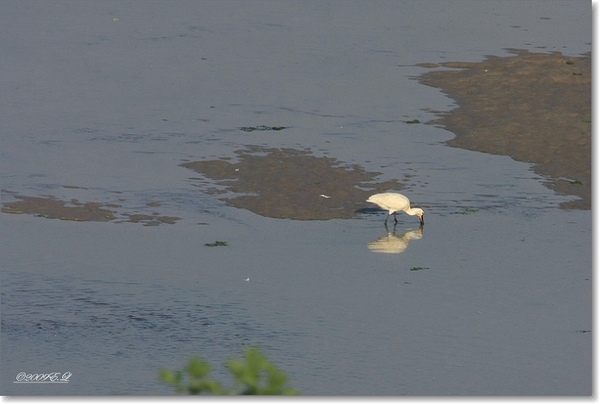 sized_Afbeelding 171