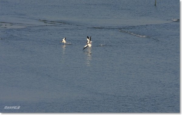 sized_Afbeelding 180