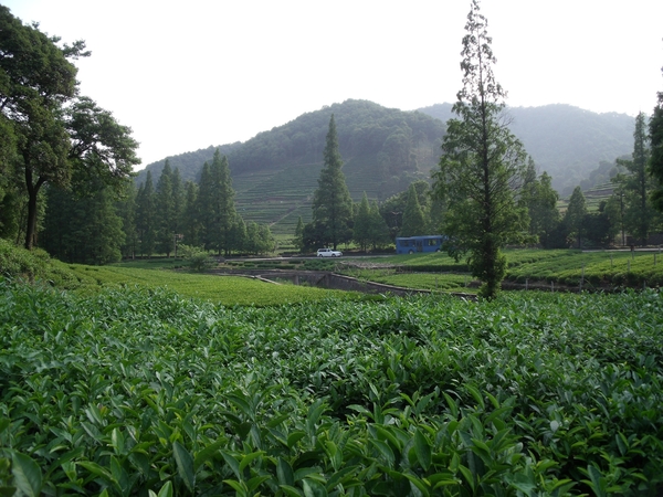 China 2 (mei-juni 2009) 579