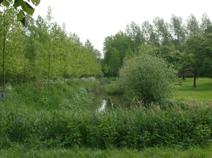 DENDERMONDE HERZELE SCHELLEBELLE 056