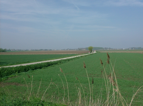 wandelingen mg-gooik-bornem-boekhoute-eksaarde 017