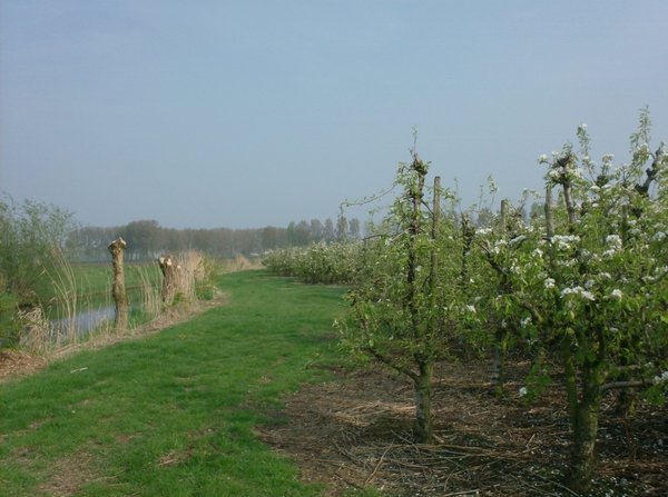 wandelingen mg-gooik-bornem-boekhoute-eksaarde 043