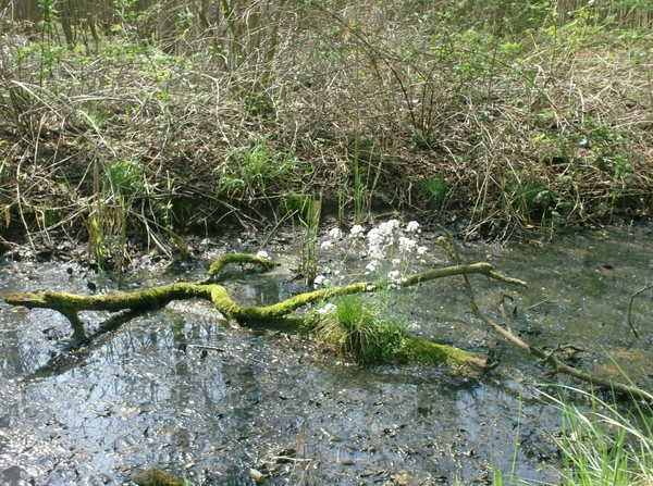 wandelingen mg-gooik-bornem-boekhoute-eksaarde 062