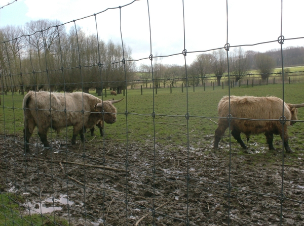 wandelingen mg-gooik-bornem-boekhoute-eksaarde 054