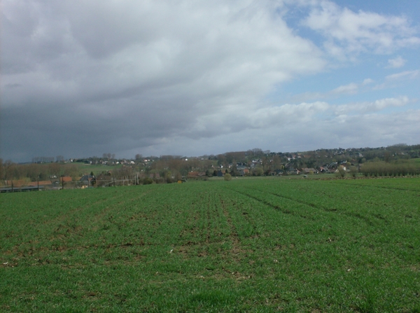 wandelingen mg-gooik-bornem-boekhoute-eksaarde 063