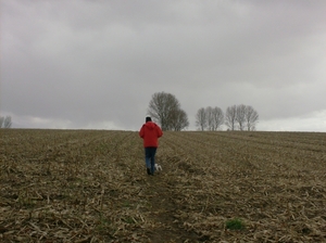 wandelingen mg-gooik-bornem-boekhoute-eksaarde 065