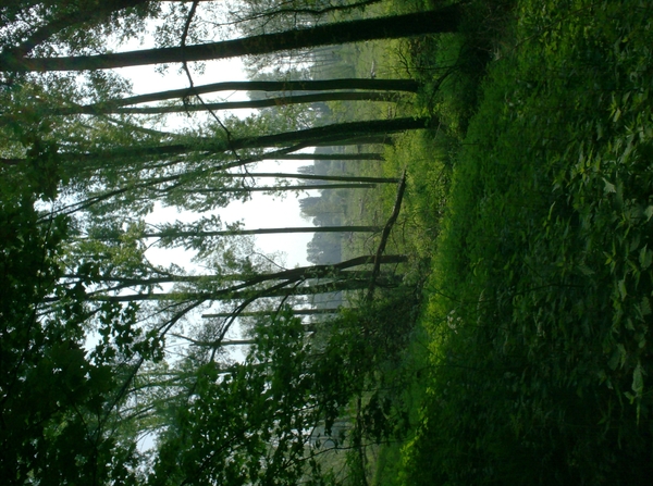 DENDERMONDE HERZELE SCHELLEBELLE 041