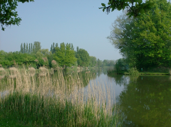 DENDERMONDE HERZELE SCHELLEBELLE 048