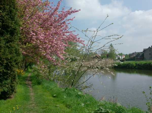 wandelingen mg-gooik-bornem-boekhoute-eksaarde 072