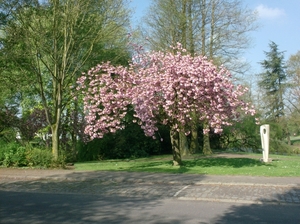 wandelingen mg-gooik-bornem-boekhoute-eksaarde 081