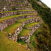 machu_picchu_terraces