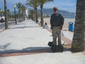 Albir 2009