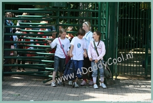 IMG_2111-border