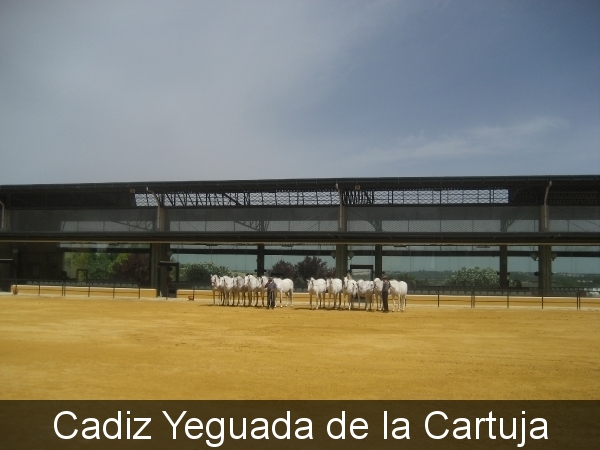 Reis Madrid en Andalusie 259