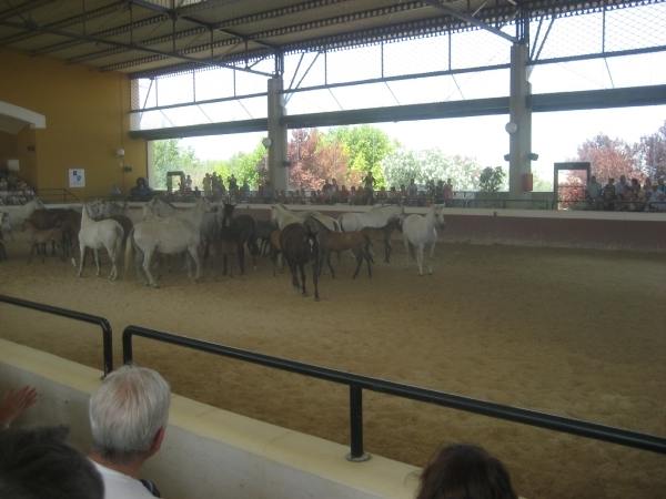 Reis Madrid en Andalusie 273