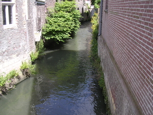 DSCN7254
