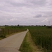 PICT0532