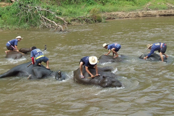 thailand 350