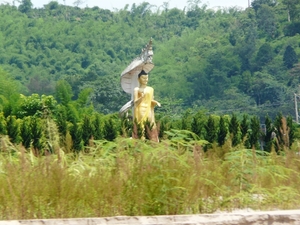 Thailand 2009 217