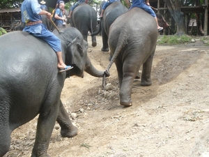 Thailand 2009 332