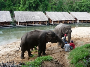 Thailand 2009 639