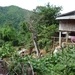 Thailand 2009 738