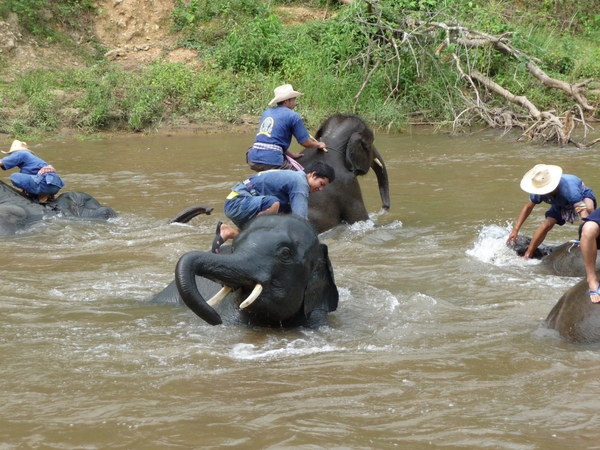 Thailand 2009 806