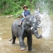 Thailand 2009 809