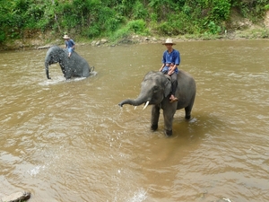 Thailand 2009 324