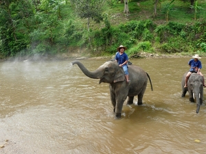 Thailand 2009 326