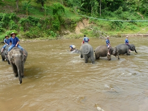 Thailand 2009 329