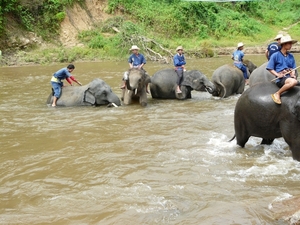 Thailand 2009 331