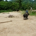 Thailand 2009 339