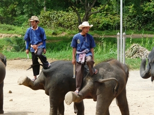 Thailand 2009 344