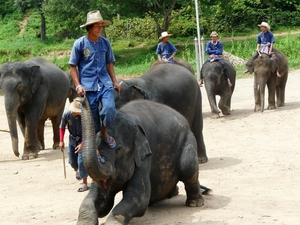 Thailand 2009 345