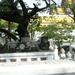 Thailand 2009 495