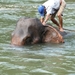 Thailand 2009 649