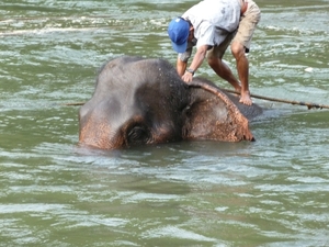 Thailand 2009 649