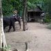 Thailand 2009 656