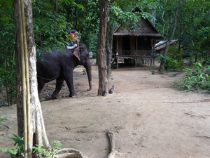 Thailand 2009 656