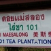 Thailand 2009 754