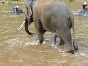 Thailand 2009 804