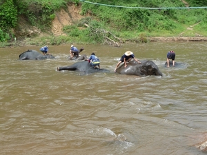 Thailand 2009 805