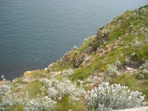 DSCN0767