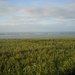 DSCN0843