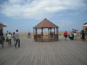 DSCN0852